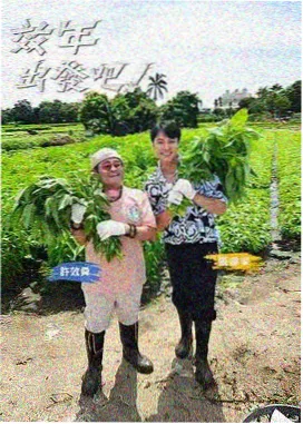 对话式问答交互示意，聊天气泡展开效果